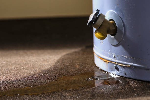 Best Fire Damage Restoration  in Langley, SC