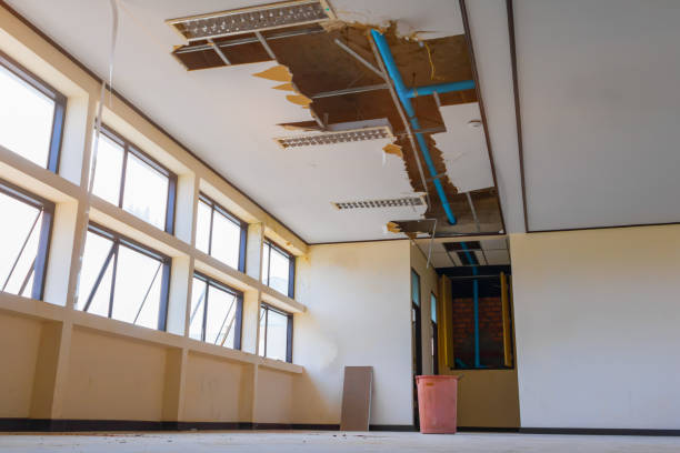 Best 24/7 water damage repair  in Langley, SC