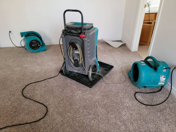 Best Water damage cleanup near me  in Langley, SC
