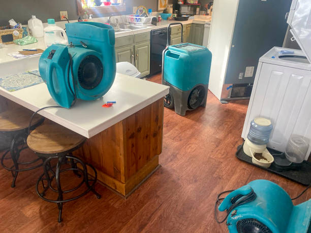Best Water damage restoration mold remediation  in Langley, SC