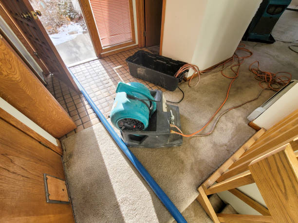 Best Sewage cleanup and water damage restoration  in Langley, SC