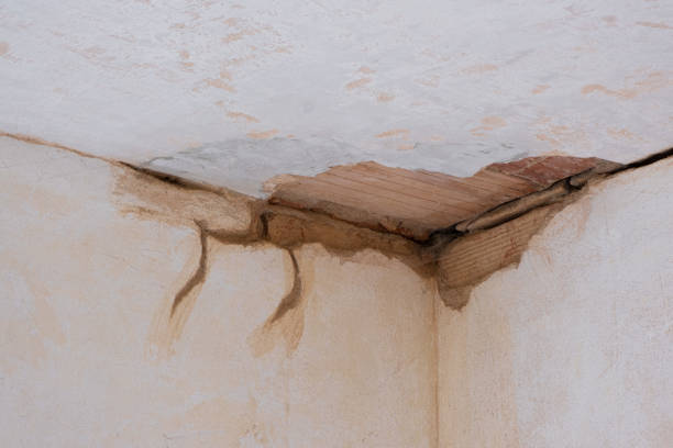 Best Water damage contractors near me  in Langley, SC