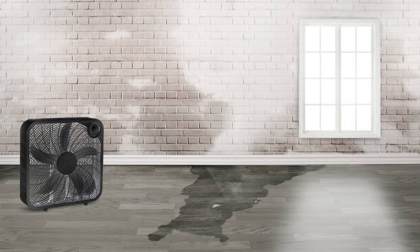 Best Water damage restoration company  in Langley, SC