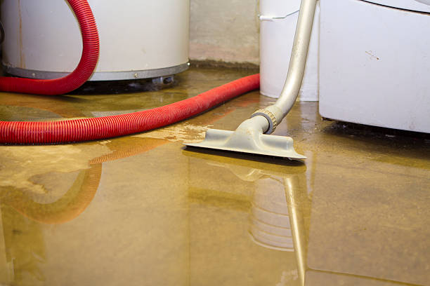 Best Carpet water damage restoration  in Langley, SC