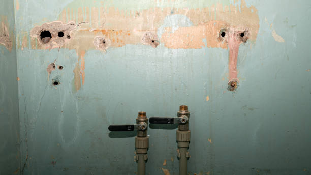 Best Emergency water damage restoration  in Langley, SC