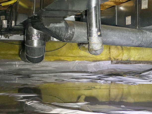 Best Water damage restoration specialists  in Langley, SC