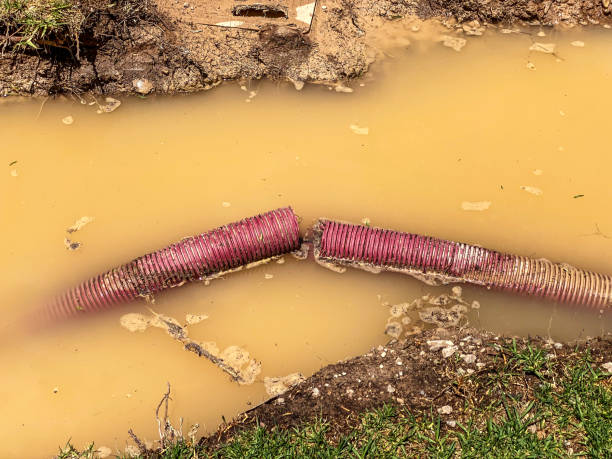 Best Sewage cleanup and water damage restoration  in Langley, SC